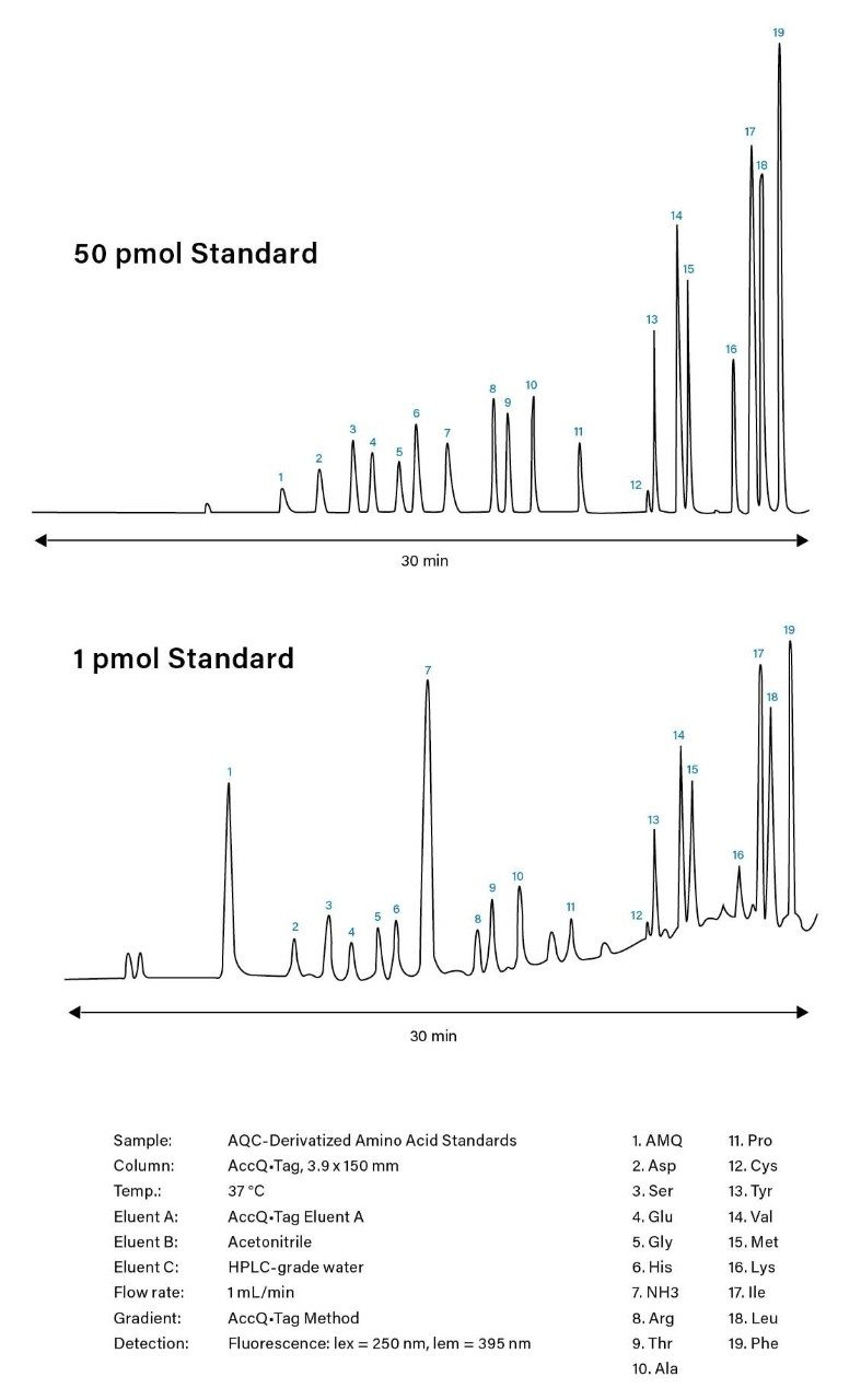 Figure 11. Representative chromatograms of HPLC-based, amino acid analysis using Waters AccQ•Tag Method.