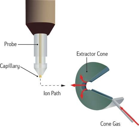 Simplified schematic showing an ESI probein a typical position in front and orthogonal to the MS ion inlet.