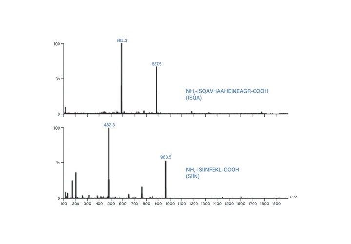 Figure 53. Mass spectra for ISQA and SIIN.