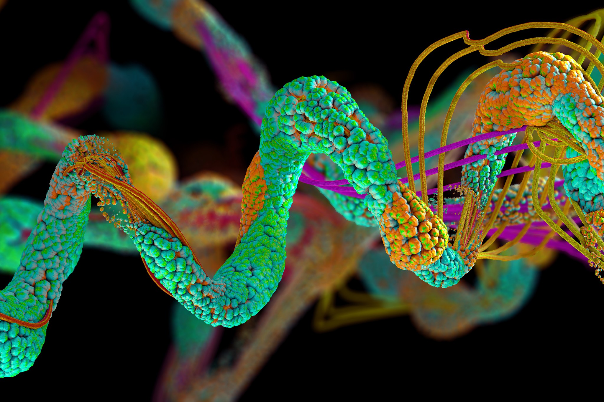 ウォーターズの構造生物学的ソリューションを利用して、構造生物学に関する独自の分子情報を取得するとともに、タンパク質高分子複合体の気相構造を解析することができます。