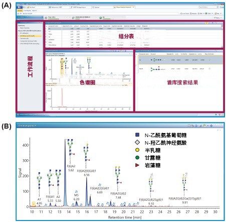 查看处理后的结果。(A)“查看”选项卡显示了已鉴定峰的可单击工作流程步骤、经处理的色谱图以及谱库搜索结果。(B)“查看”选项卡中经处理的FLR图，显示出标注了游离寡糖名称、GU值及相关结构信息的已鉴定峰。为避免结构显示过于拥挤，只需将鼠标悬停在IBM连接图标上，即可查看详细的游离寡糖结构。用户可以自行选择CFG或Oxford结构命名法进行显示（本应用纪要的图中使用CFG）。