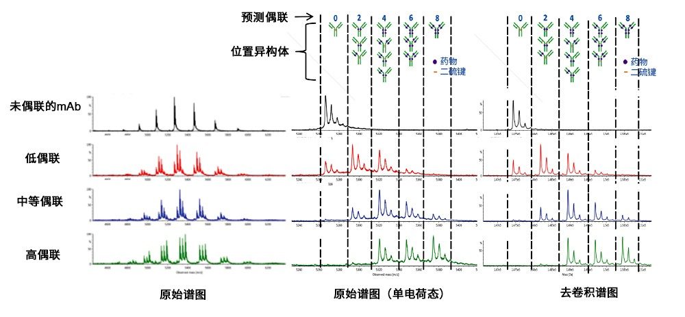  多电荷峰簇的组合原始谱图