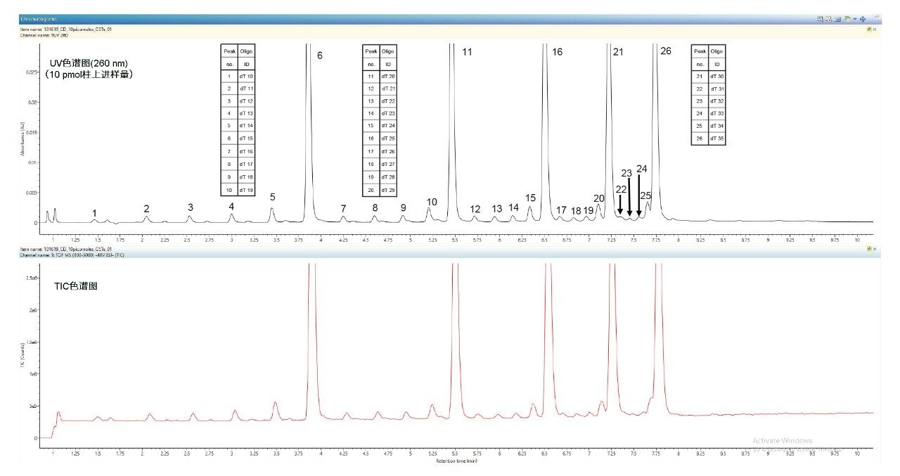 主要和次要寡聚核苷酸组分的TUV和TIC分离色谱图