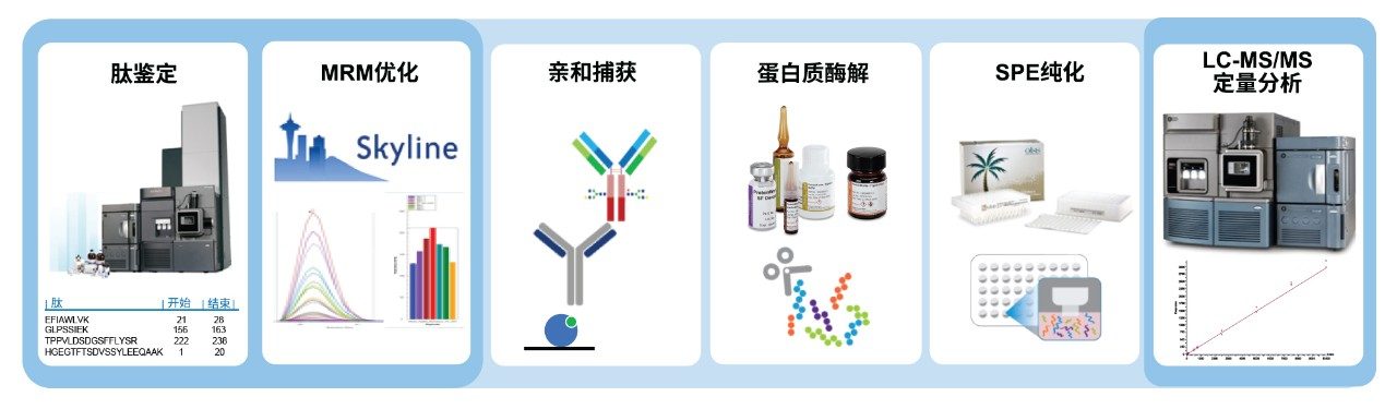 定量测定方法开发工作流程