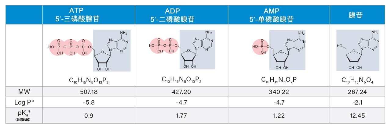 检测化合物。