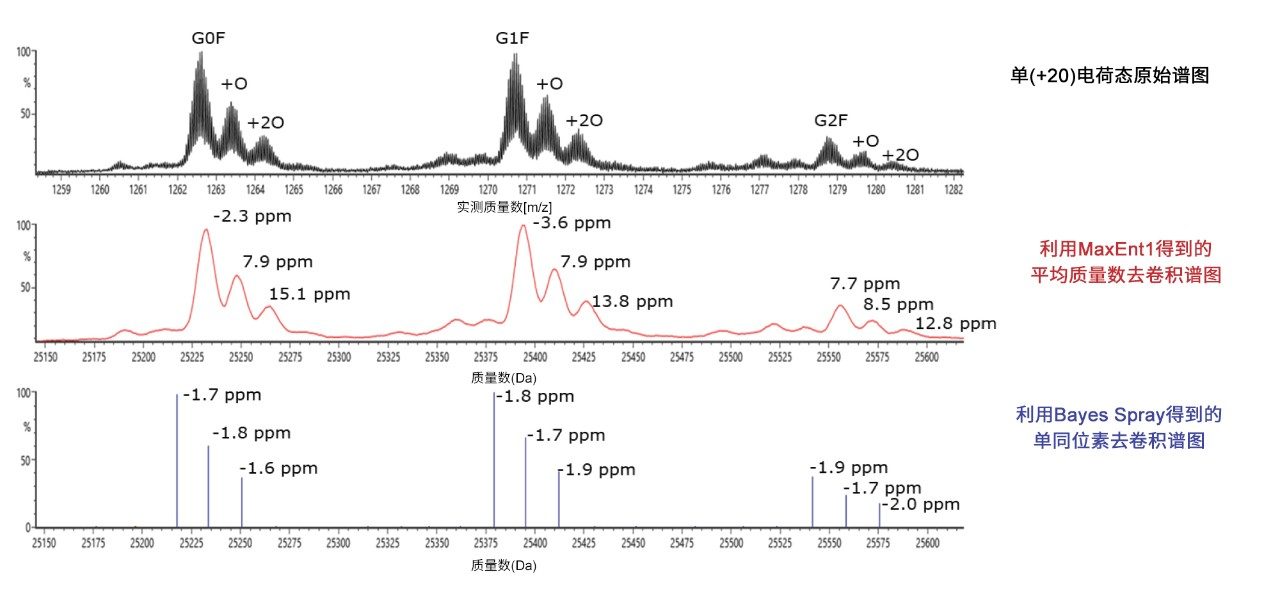 氧化曲妥珠单抗scFc亚基片段在电荷态去卷积前后的谱图比较