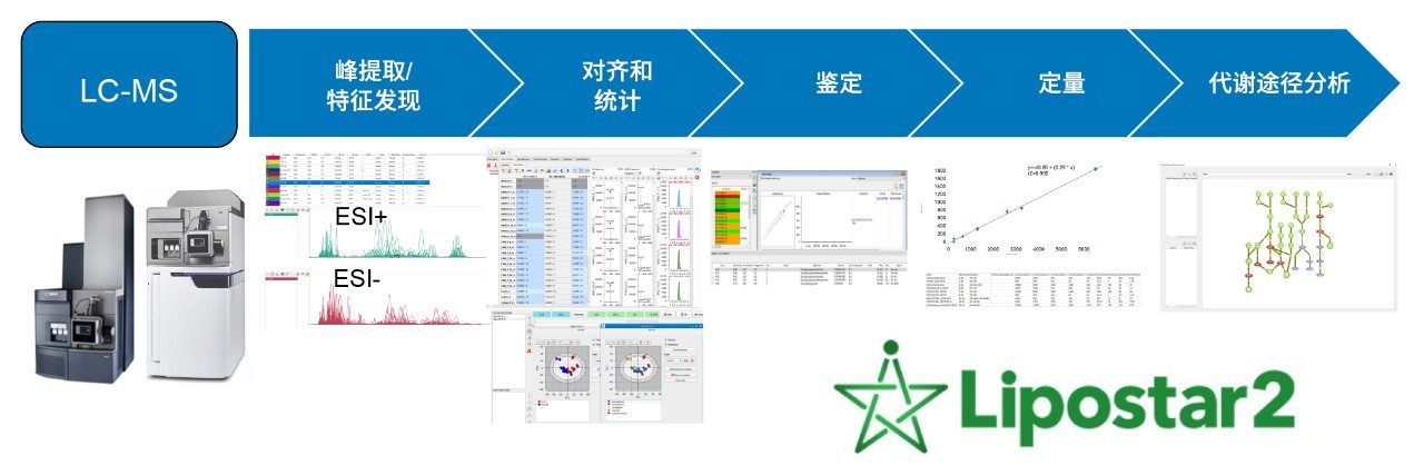 Lipostar工作流概述