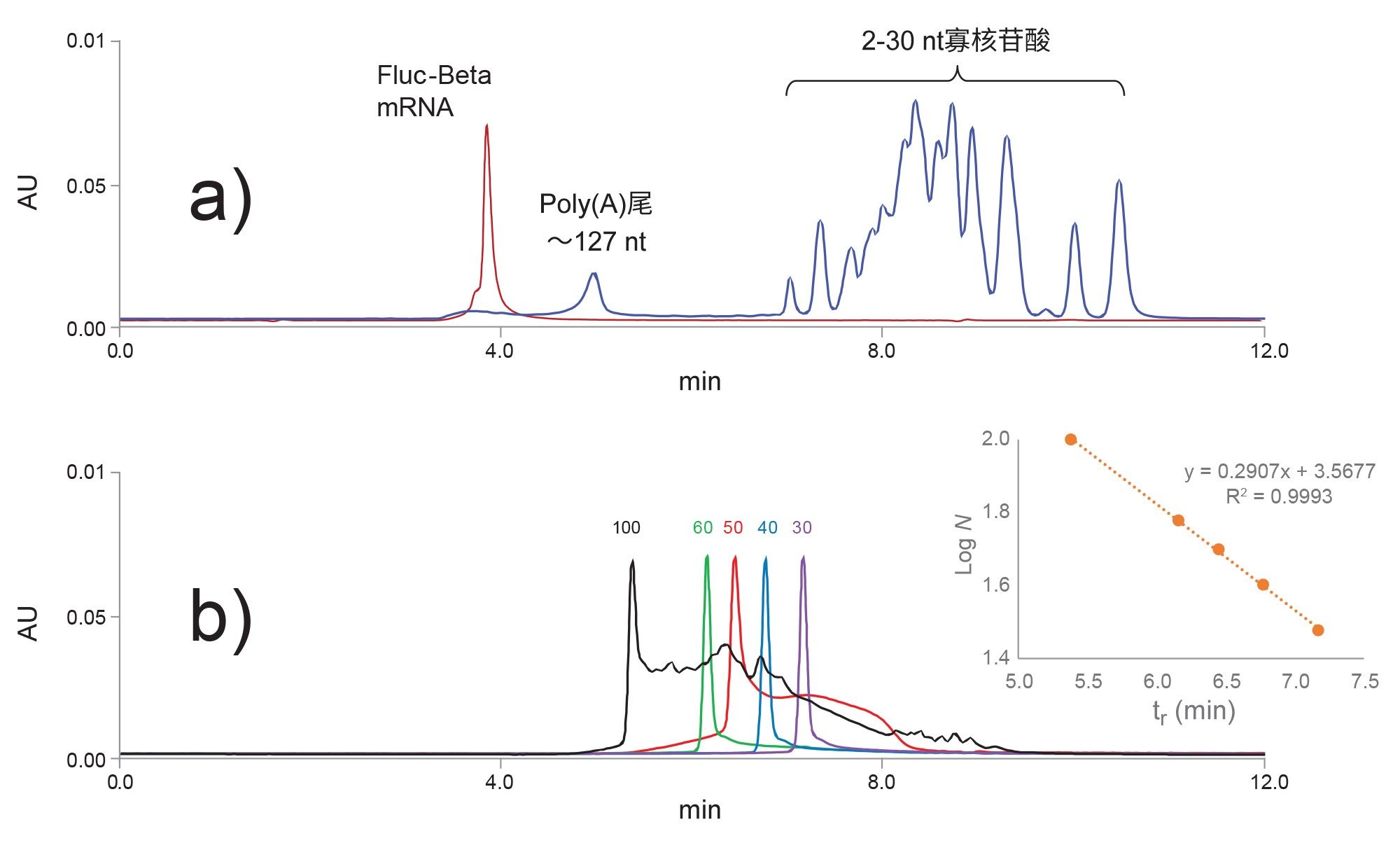 通过外推校准曲线估算更大的poly A尾的长度