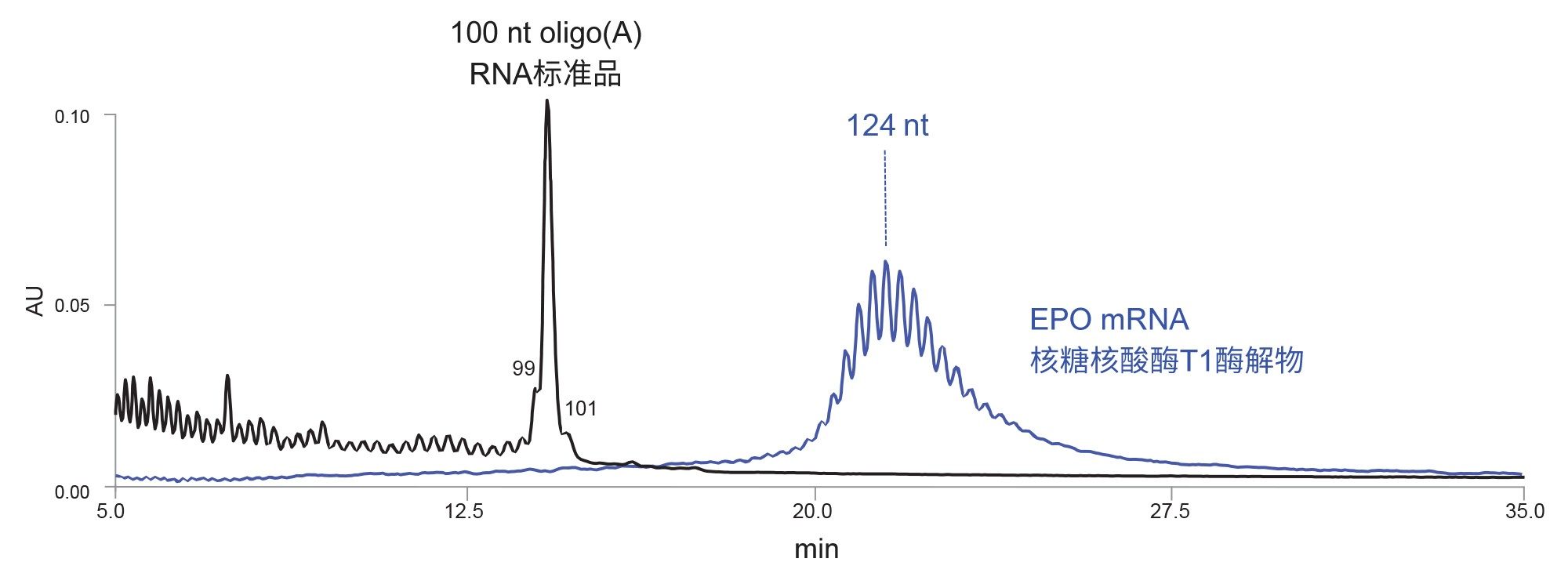 分离100 nt oligo(A)合成RNA寡核苷酸标准品