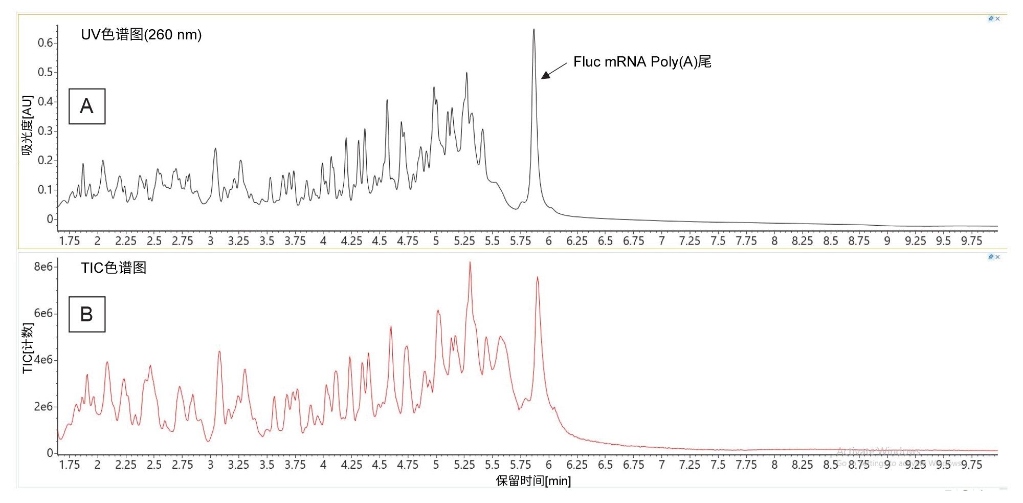 RNase T1酶解的Fluc mRNA的分离结果：(A)在260 nm处记录的UV色谱图