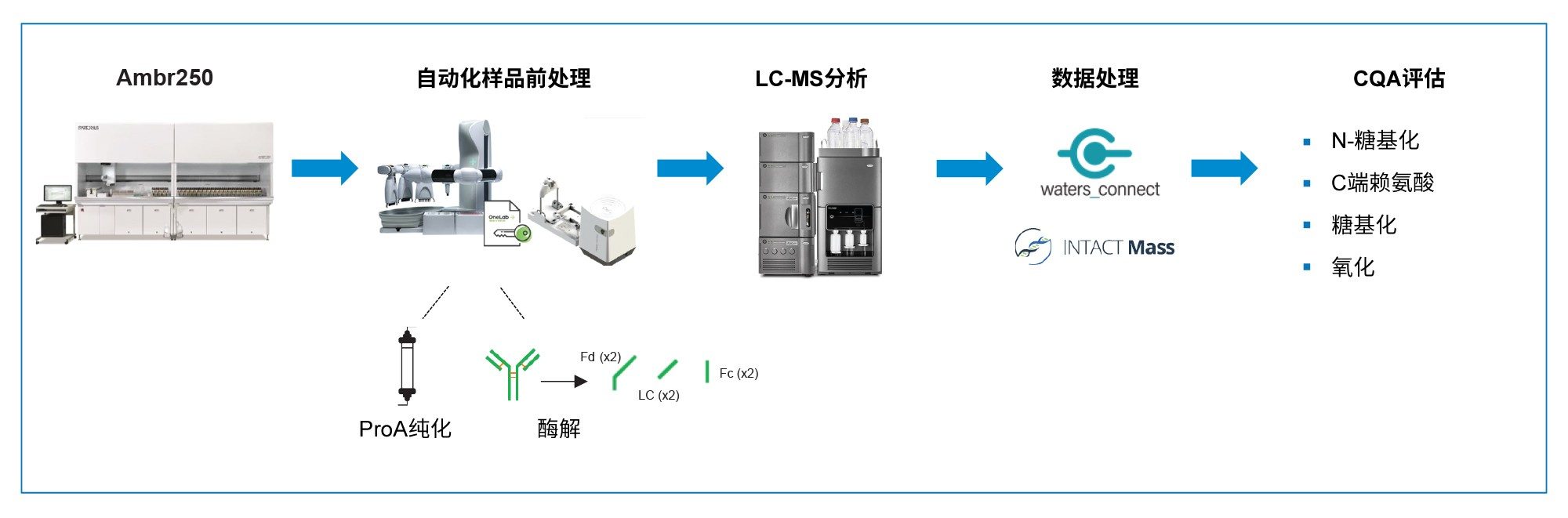 mAb亚基MAM工作流程