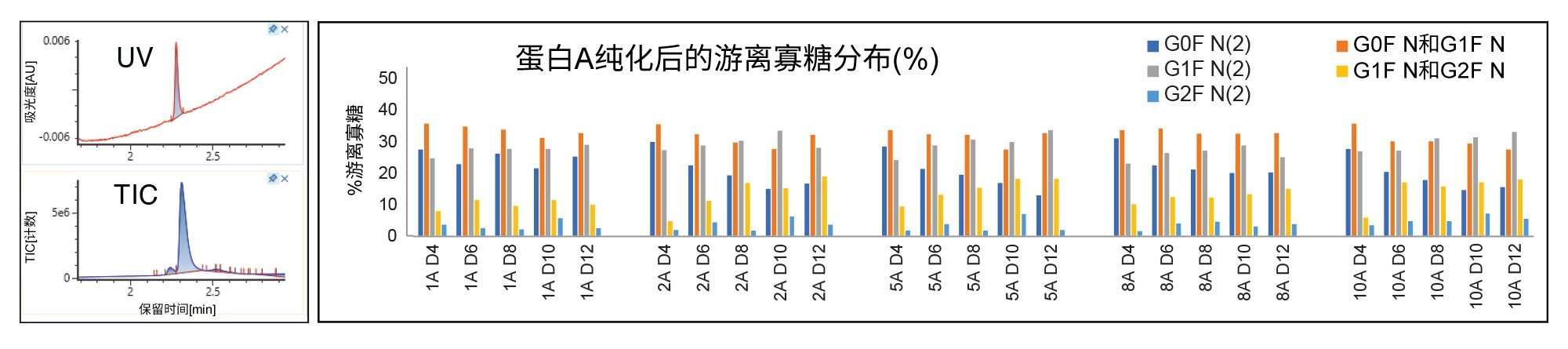 经蛋白A纯化处理的培养基样品的代表性UV色谱图和MS TIC色谱图