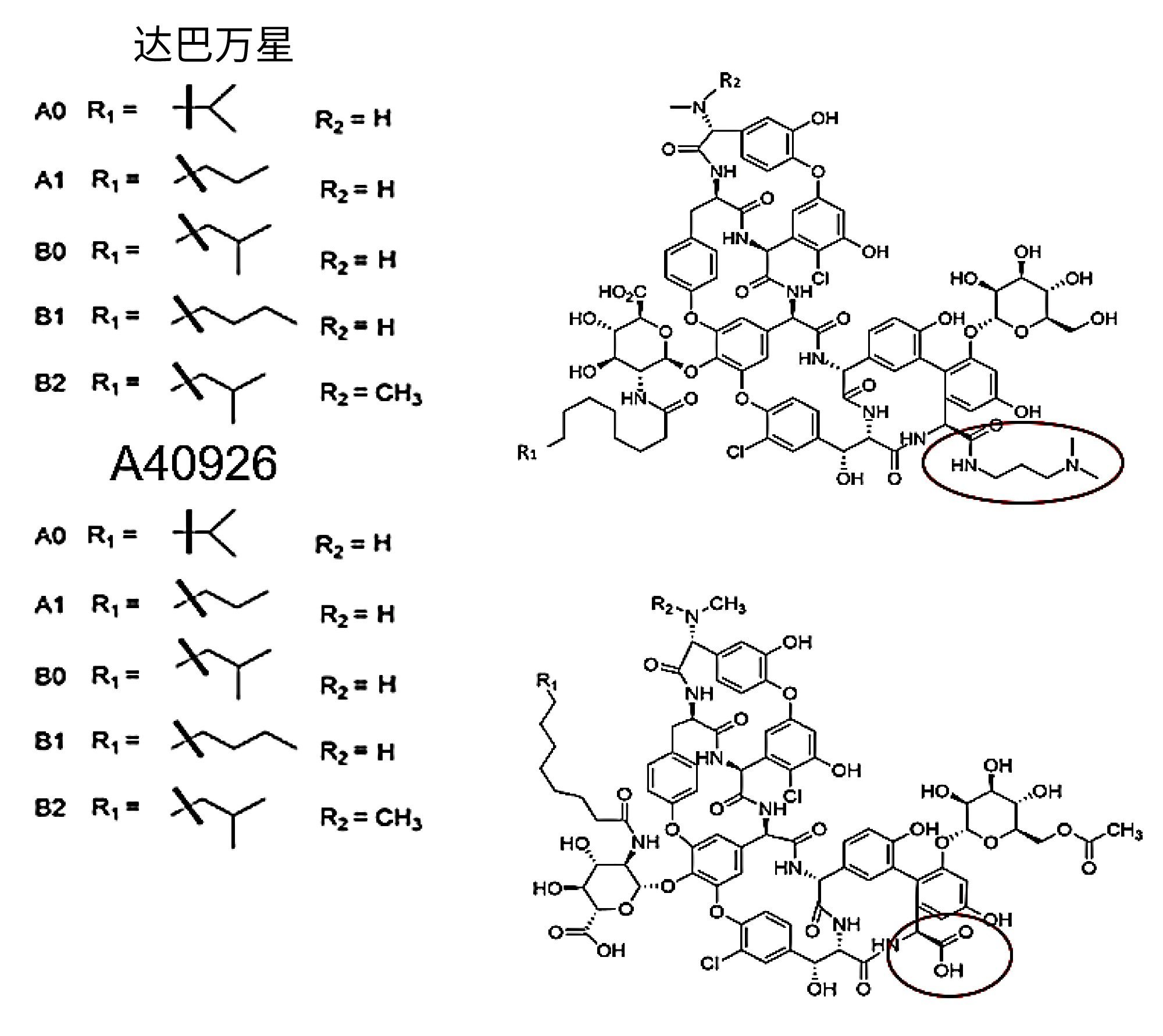 达巴万星和A40926的结构，结构差异已圈出