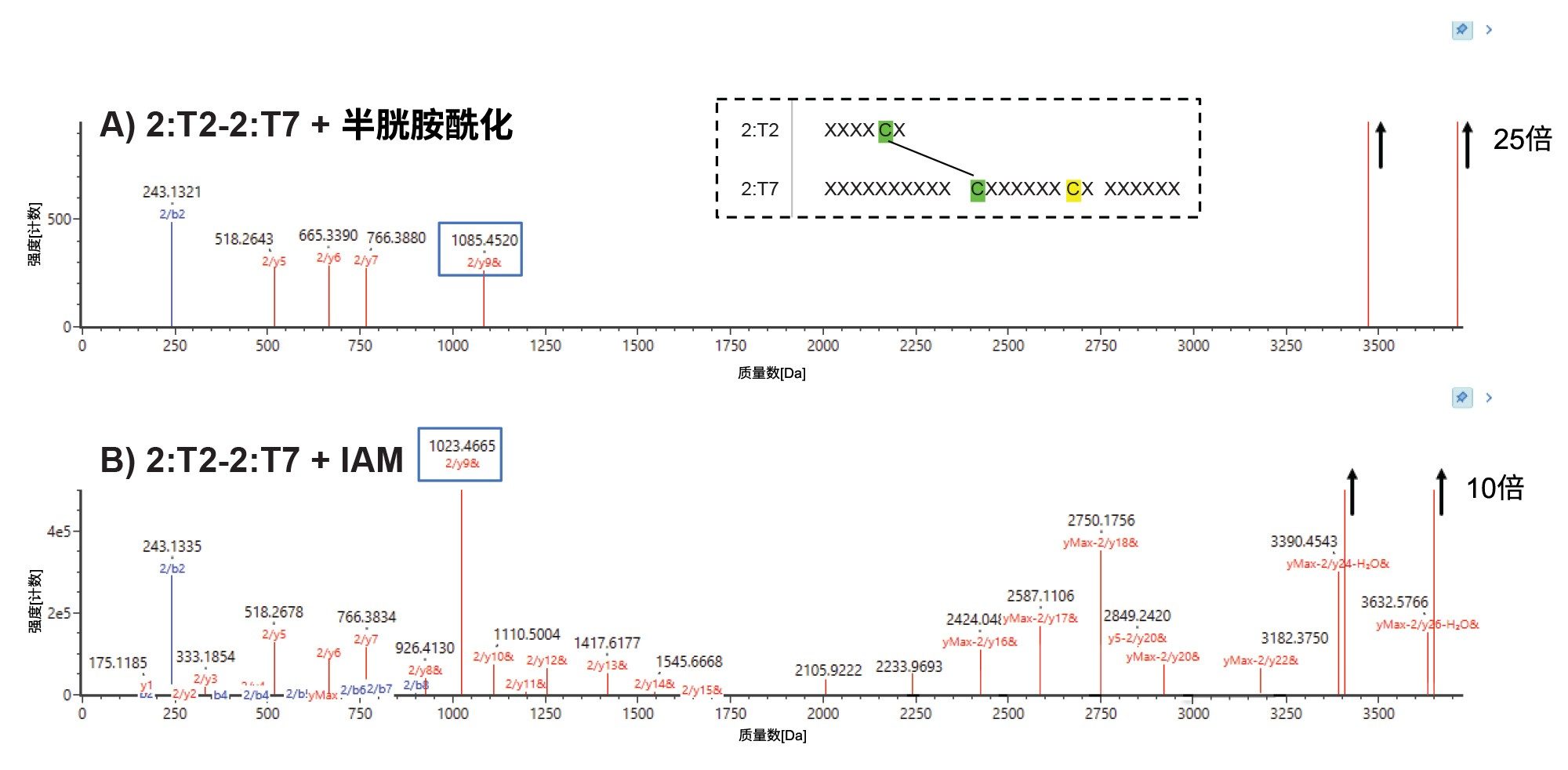 二硫键连接的肽(2:T2–2:T7)的匹配碎片离子图，其中包含预期的未配对半胱氨酸（以黄色突出显示）