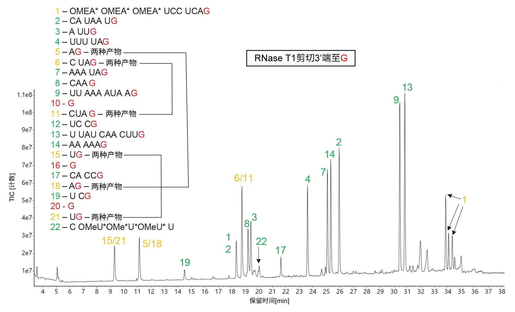 RNase T1酶解HPRT1 sgRNA的TIC色谱图
